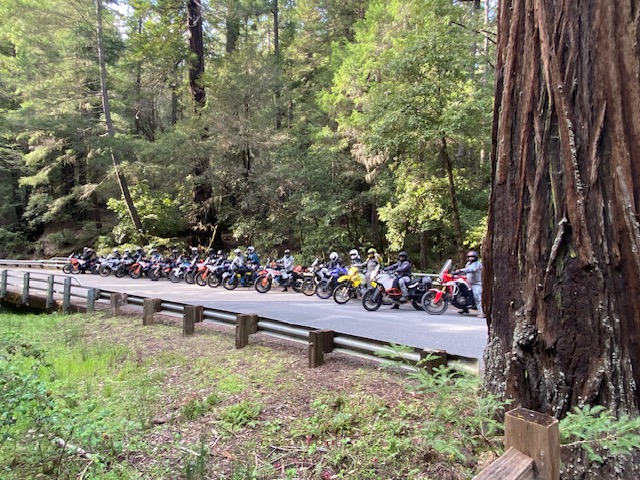 People Enjoying Redwood Coast Adventure 2-Days