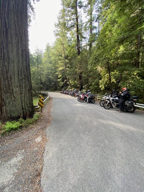 People Enjoying Redwood Coast Adventure 2-Days